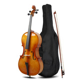 4/4 Retro Style Cello Case Bow Rosin