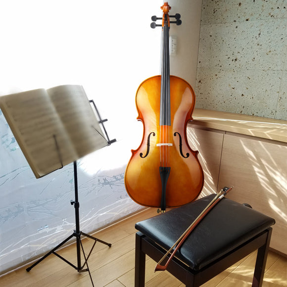 4/4 Retro Style Cello Case Bow Rosin